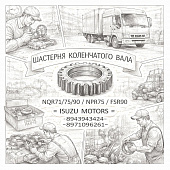 Шестерня коленчатого вала Z=42 NQR71/75/90/NPR75/FSR90 =Isuzu Motors= (8943943424 8971096261) фото в интернет-магазине РСТ-Моторс