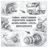 Гайка хвостовика редуктора заднего NLR85/NMR85 =ZEVS= (8943295261) фото в интернет-магазине РСТ-Моторс