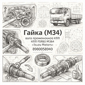 Гайка (M34) вала промежуточного КПП FSR90 MZW6P =Isuzu Motors= (8980058940) фото в интернет-магазине РСТ-Моторс