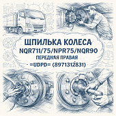 Шпилька колеса NQR71/75/NPR75/NQR90 передняя правая =UDPD= (8971312831) фото в интернет-магазине РСТ-Моторс