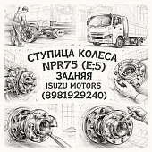 Ступица колеса NPR75  (Е-5) задняя =Isuzu Motors= (8981929240) фото в интернет-магазине РСТ-Моторс