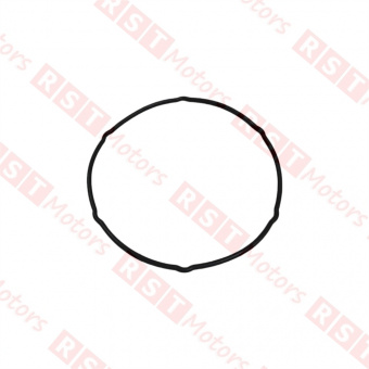 Прокладка ТНВД NQR75 =Isuzu Motors= (8970392001) фото в интернет-магазине РСТ-Моторс